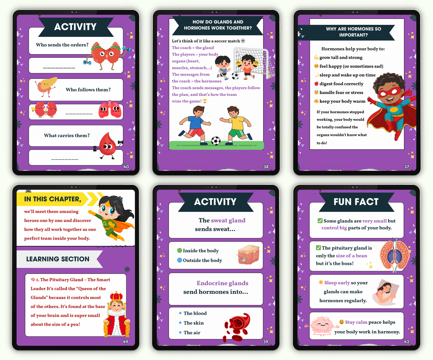 The Endocrine System: Tiny Glands with Big Powers