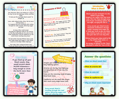 The Circulatory System: The Heart and Blood Super Team