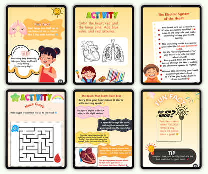 The Heart: The Tireless Engine of Life