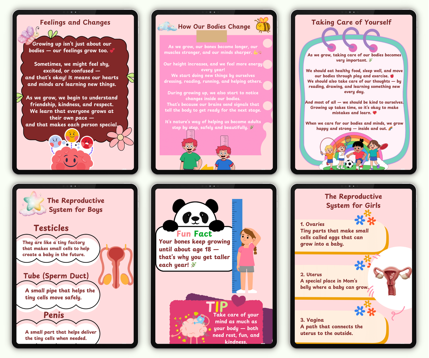 The Reproductive System: The Amazing Story of Life