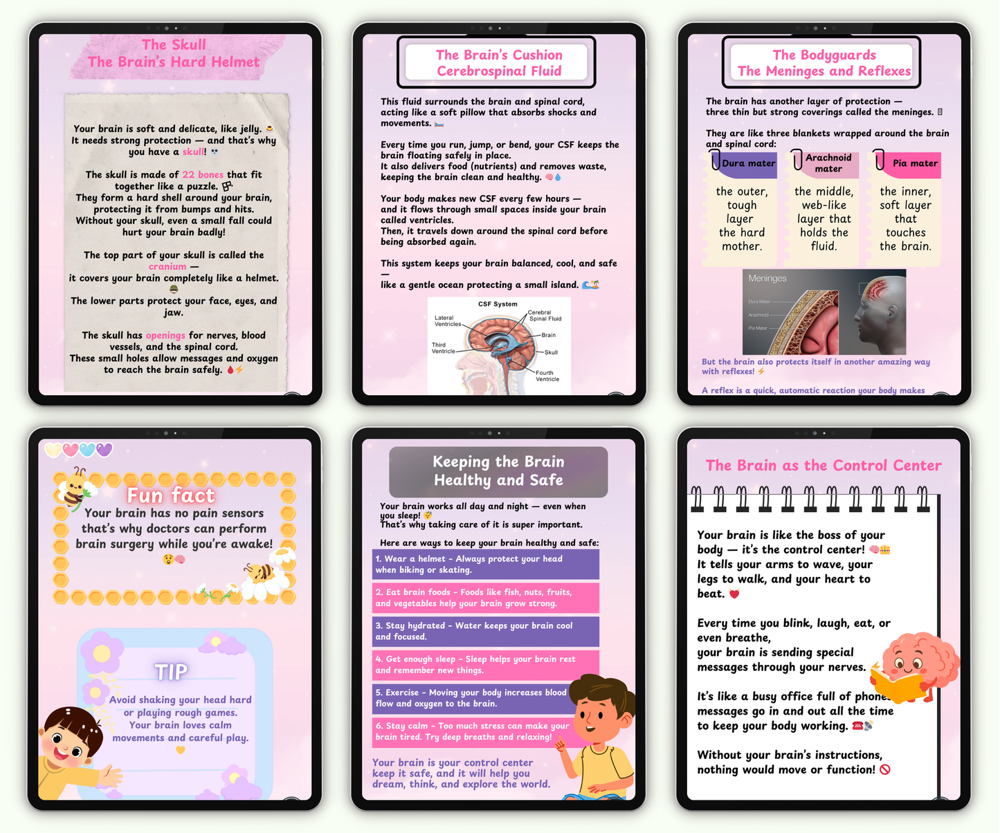 The Brain: The Mighty Boss of Your Body