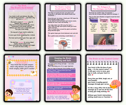 The Brain: The Mighty Boss of Your Body