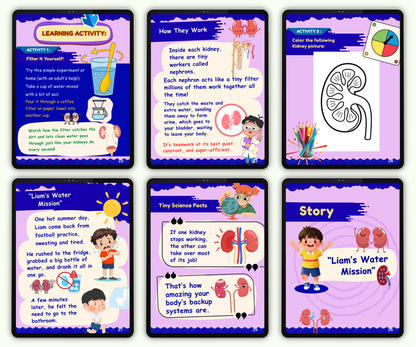 The Urinary System: The Body’s Cleaning Factory