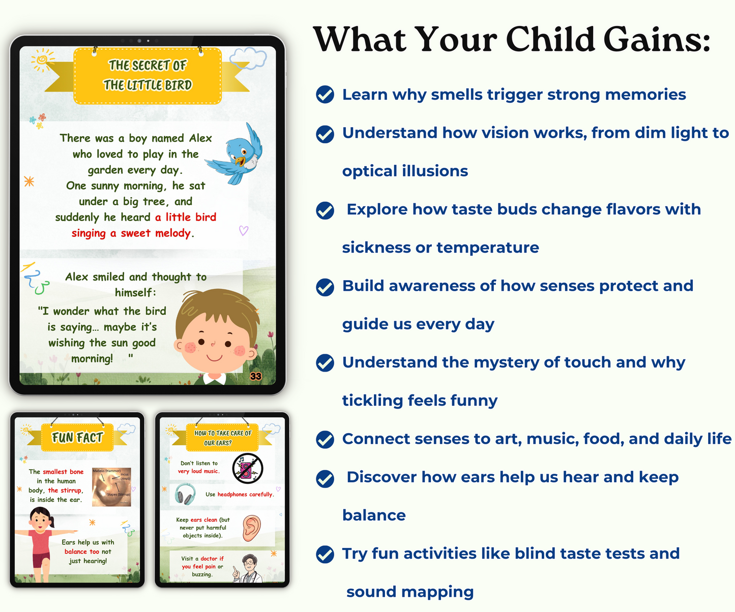 The Five Senses: Your Magic Tools to Discover Life