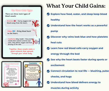 The Circulatory System: The Heart and Blood Super Team