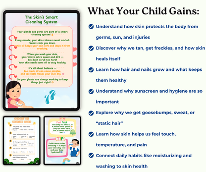 The Integumentary System: Skin, Hair & Nails – Your Outer Armor