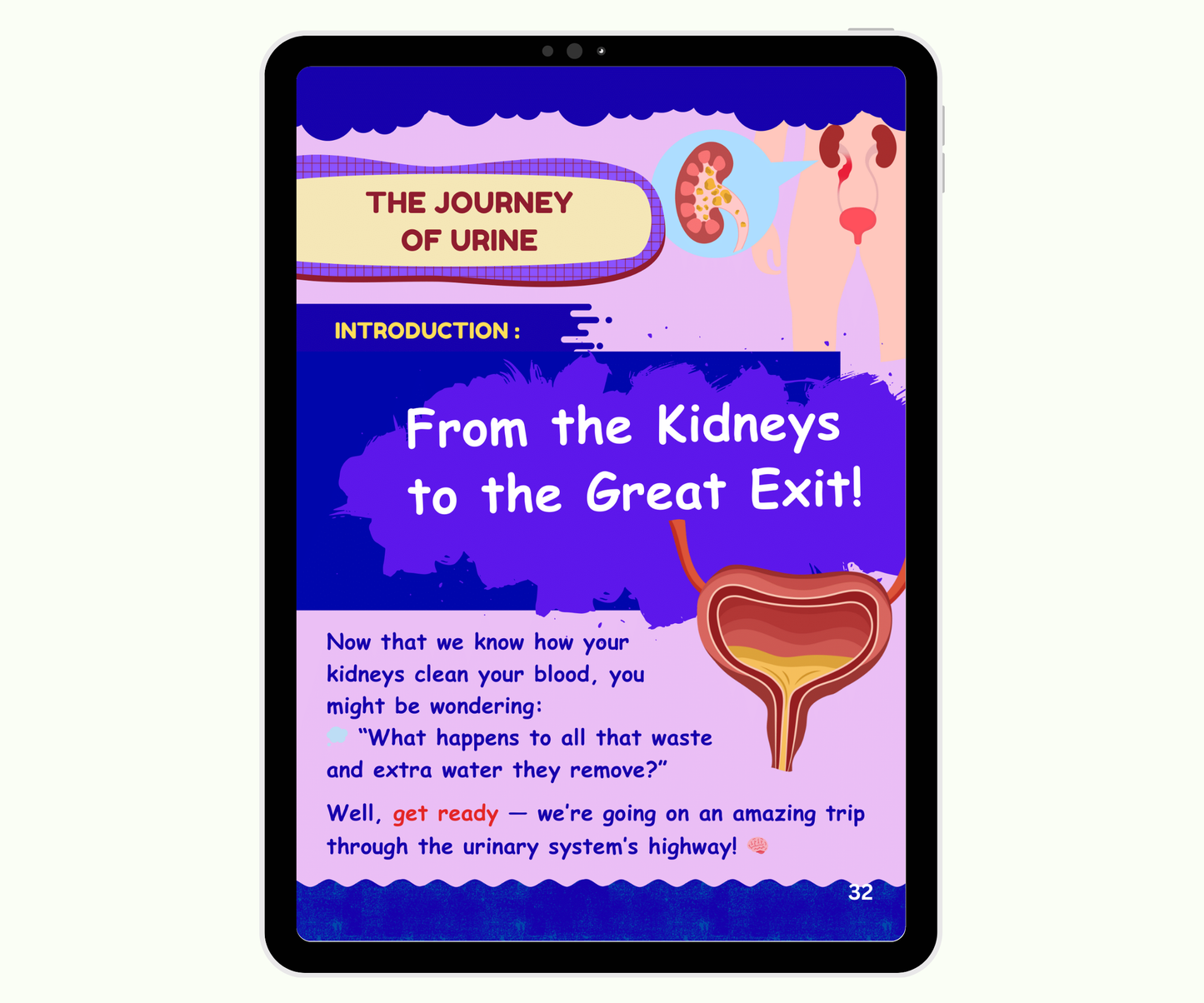 The Urinary System: The Body’s Cleaning Factory