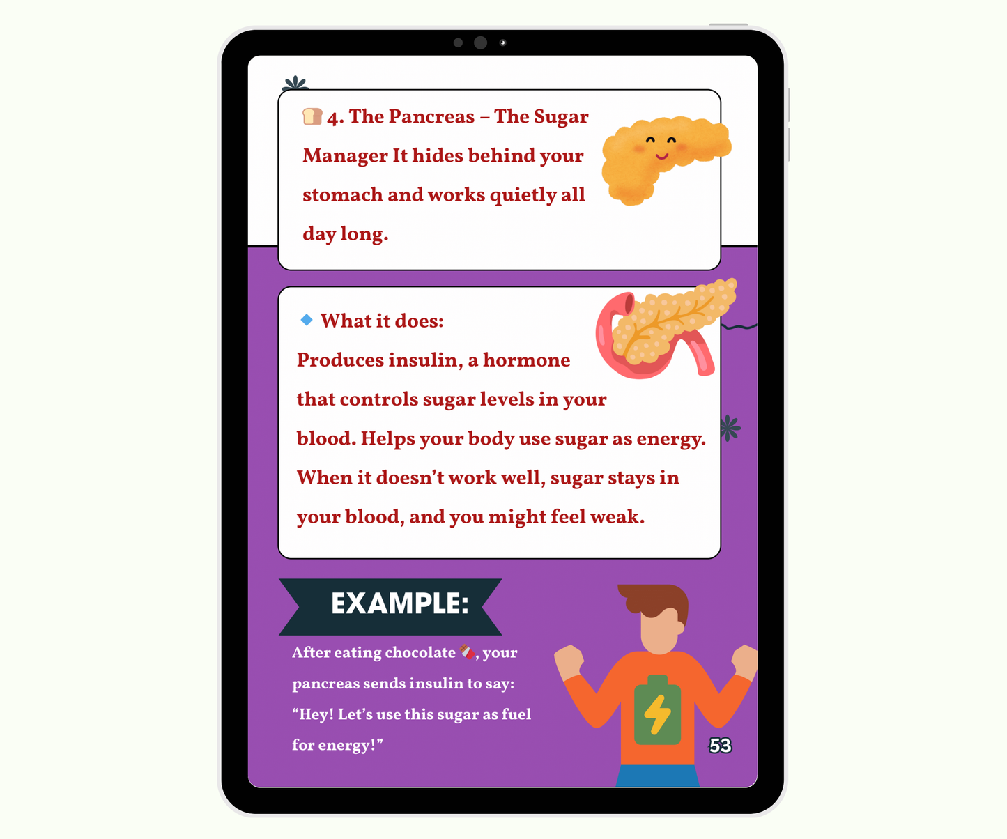 The Endocrine System: Tiny Glands with Big Powers