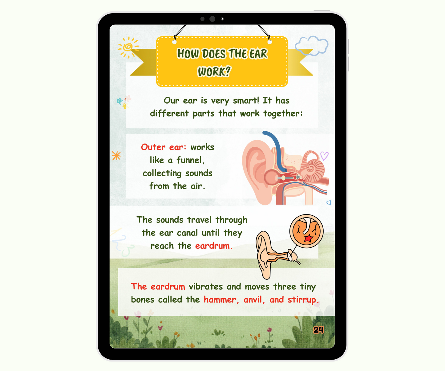 The Five Senses: Your Magic Tools to Discover Life