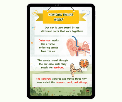 The Five Senses: Your Magic Tools to Discover Life