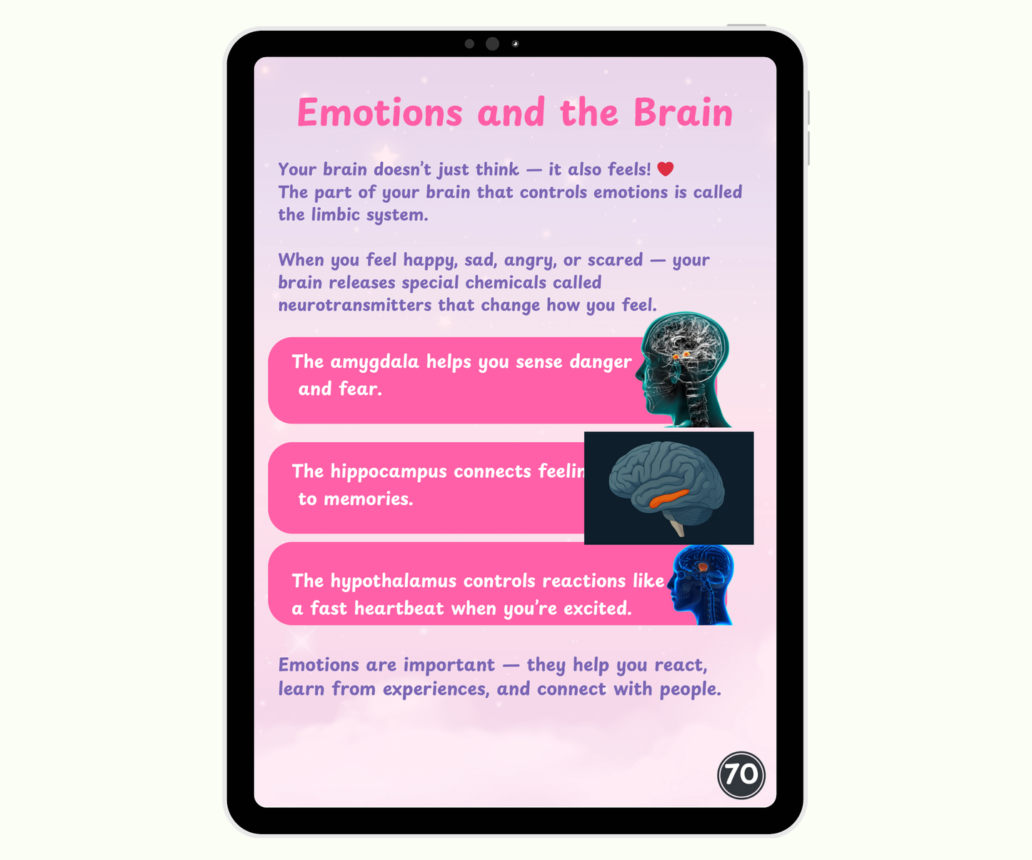 The Brain: The Mighty Boss of Your Body