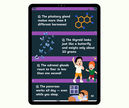 The Endocrine System: Tiny Glands with Big Powers