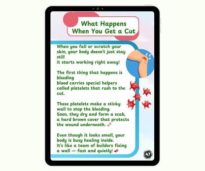 The Integumentary System: Skin, Hair & Nails – Your Outer Armor