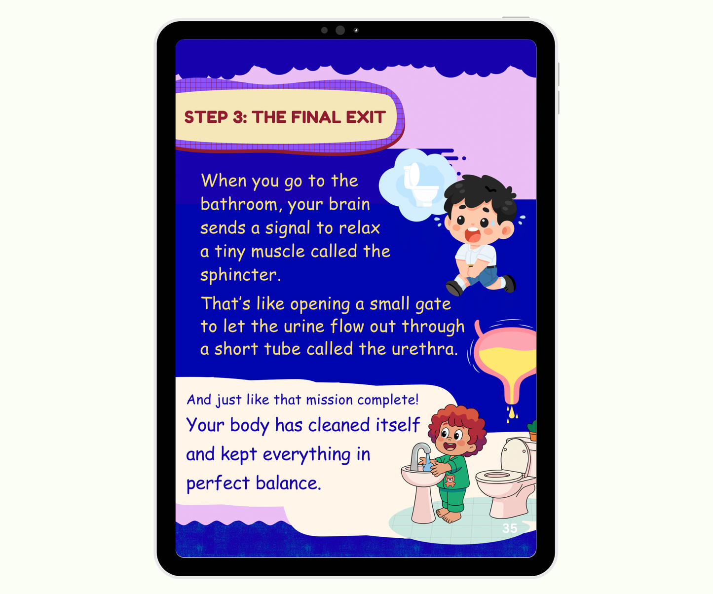 The Urinary System: The Body’s Cleaning Factory